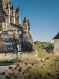 abbaye-de-fontevraud