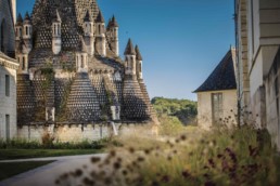 abbaye-de-fontevraud