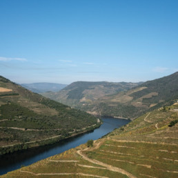 douro