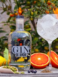 Gin-de-Binche