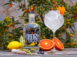 Gin-de-Binche