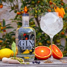 Gin-de-Binche