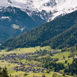 verbier