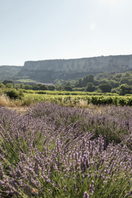 le-phebus-luberon
