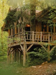 Les-cabanes-des-Dolimarts