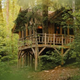 Les-cabanes-des-Dolimarts