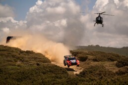 Thierry-Neuville