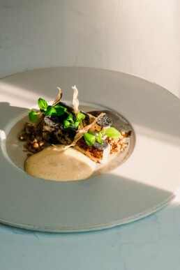 David-Alexandre-Bruno