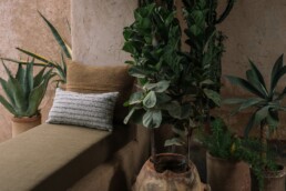 Designs-of-the-Time
